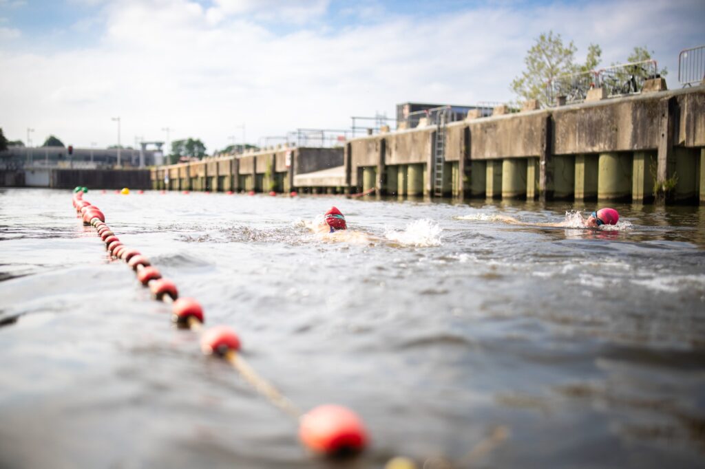 Zwemmers in open water